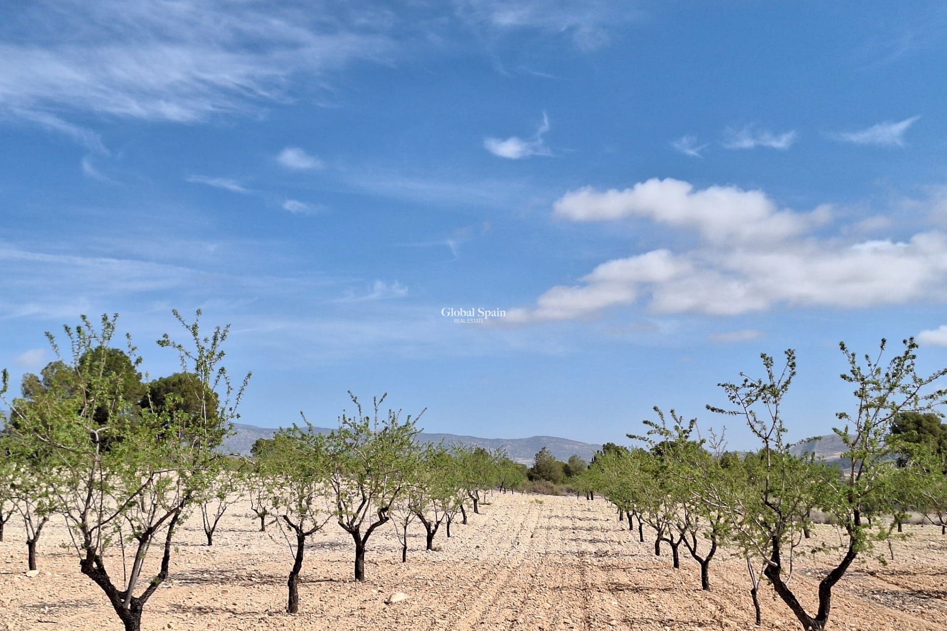 Revente - Sol -
La Zarza