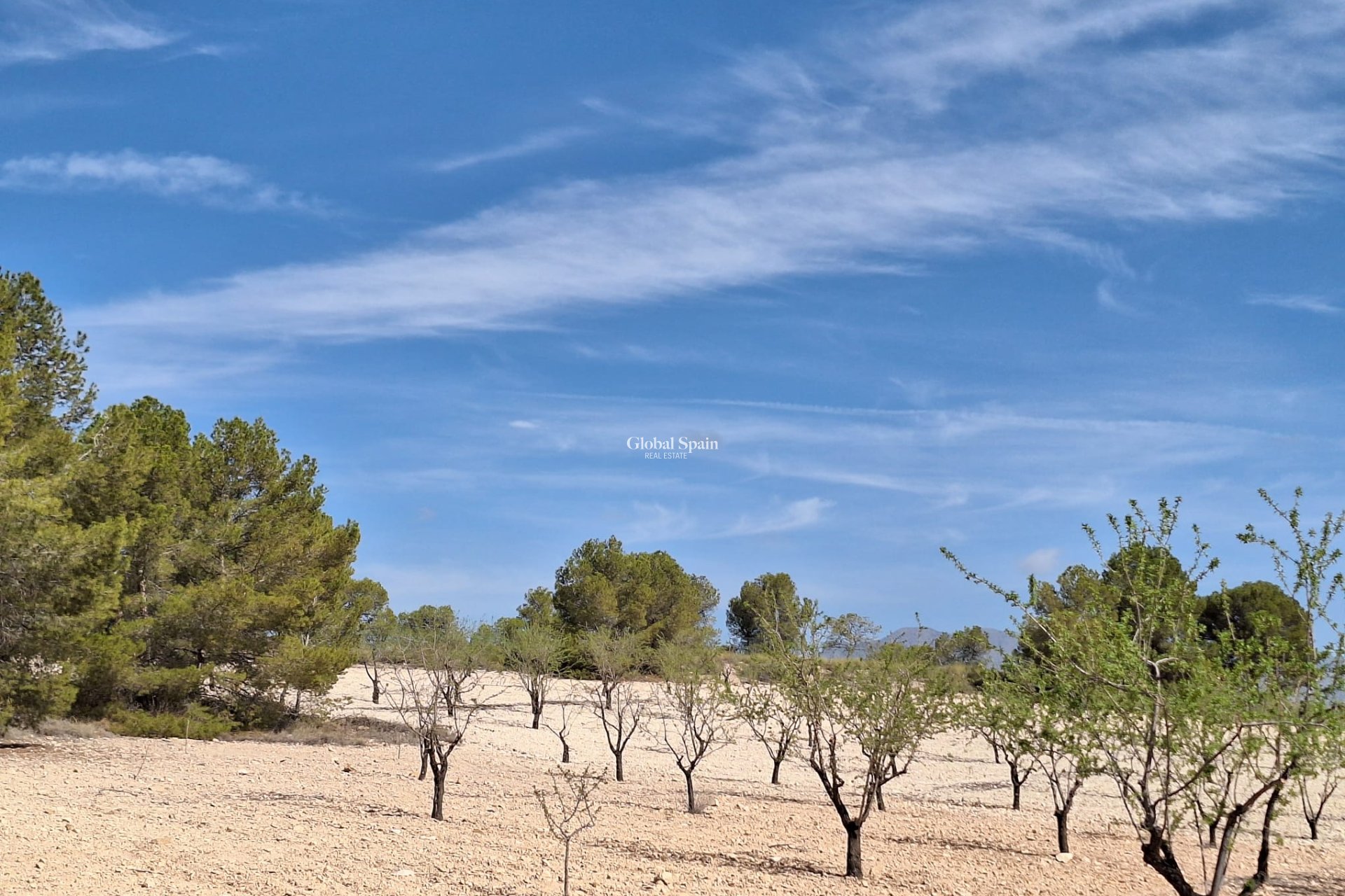 Revente - Sol -
La Zarza