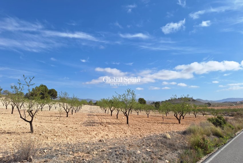 Revente - Sol -
La Zarza