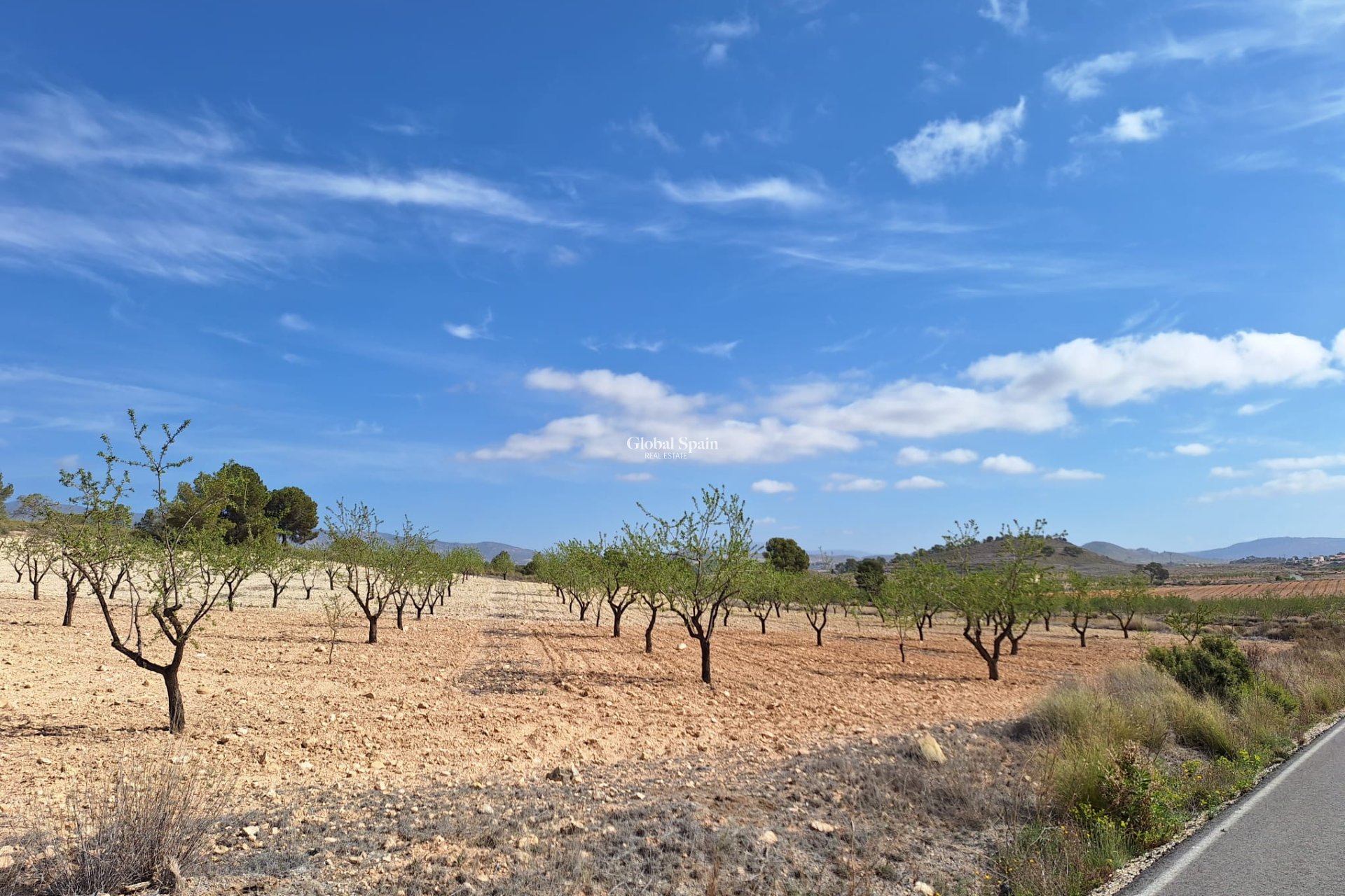 Revente - Sol -
La Zarza