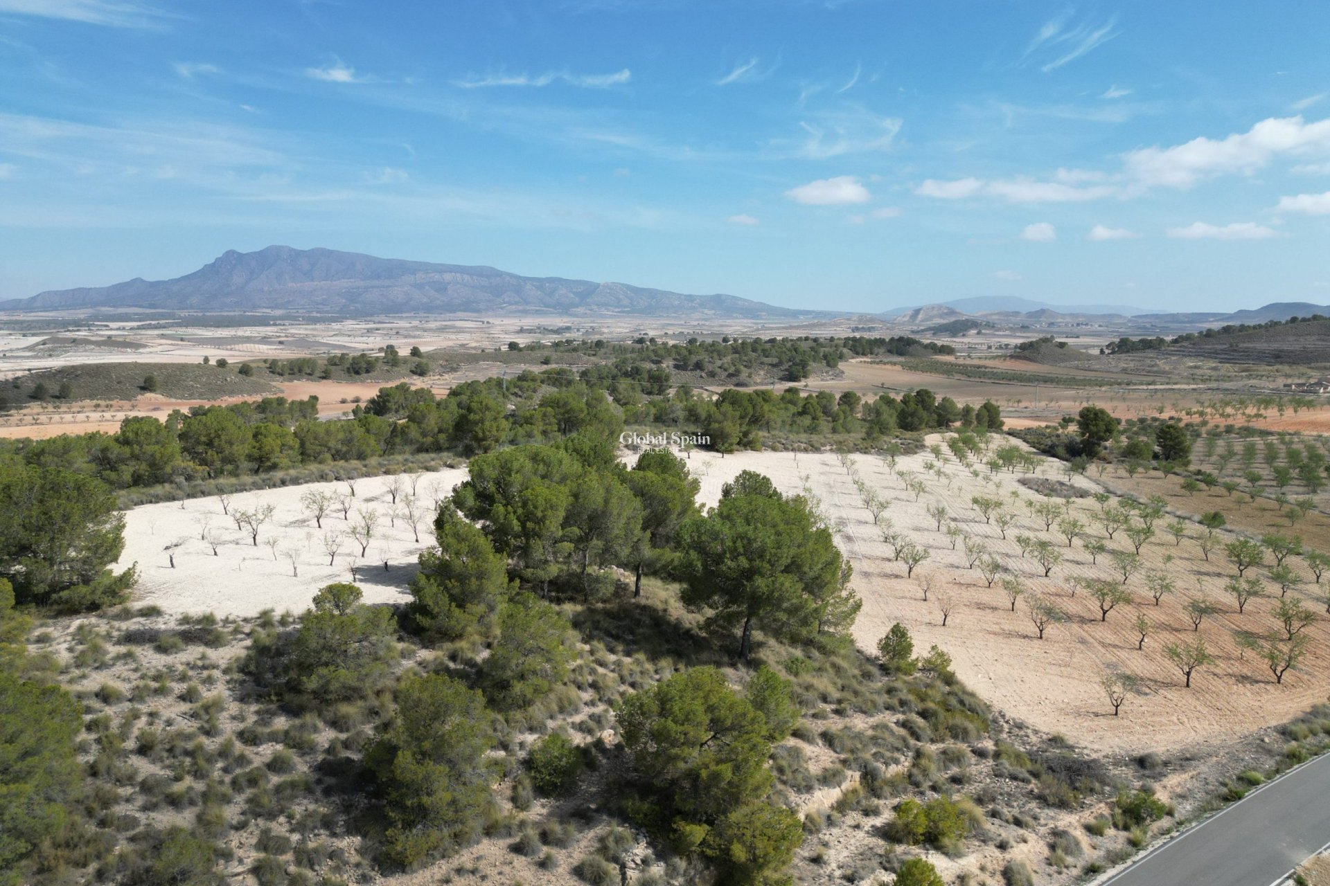 Revente - Sol -
La Zarza