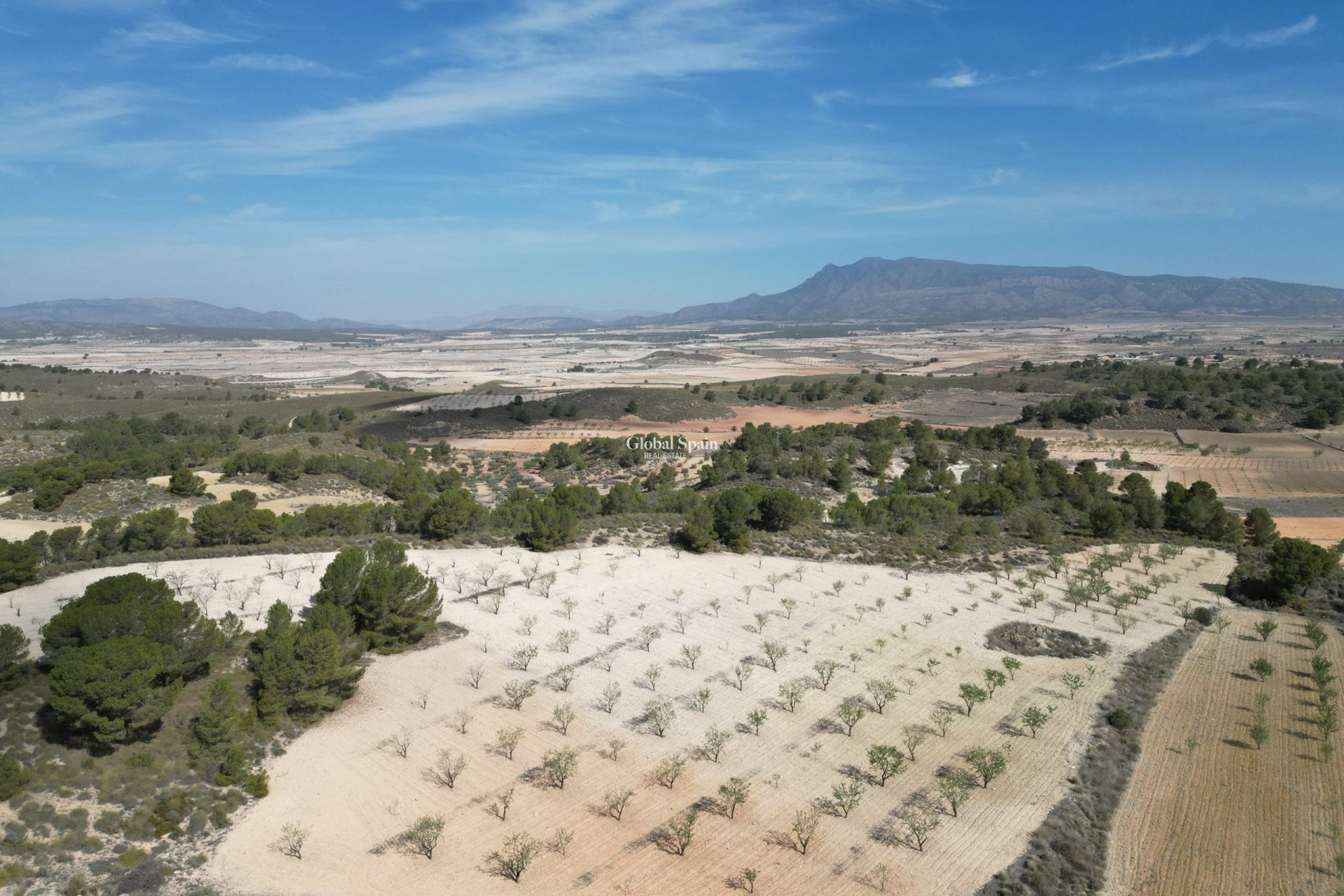 Revente - Sol -
La Zarza