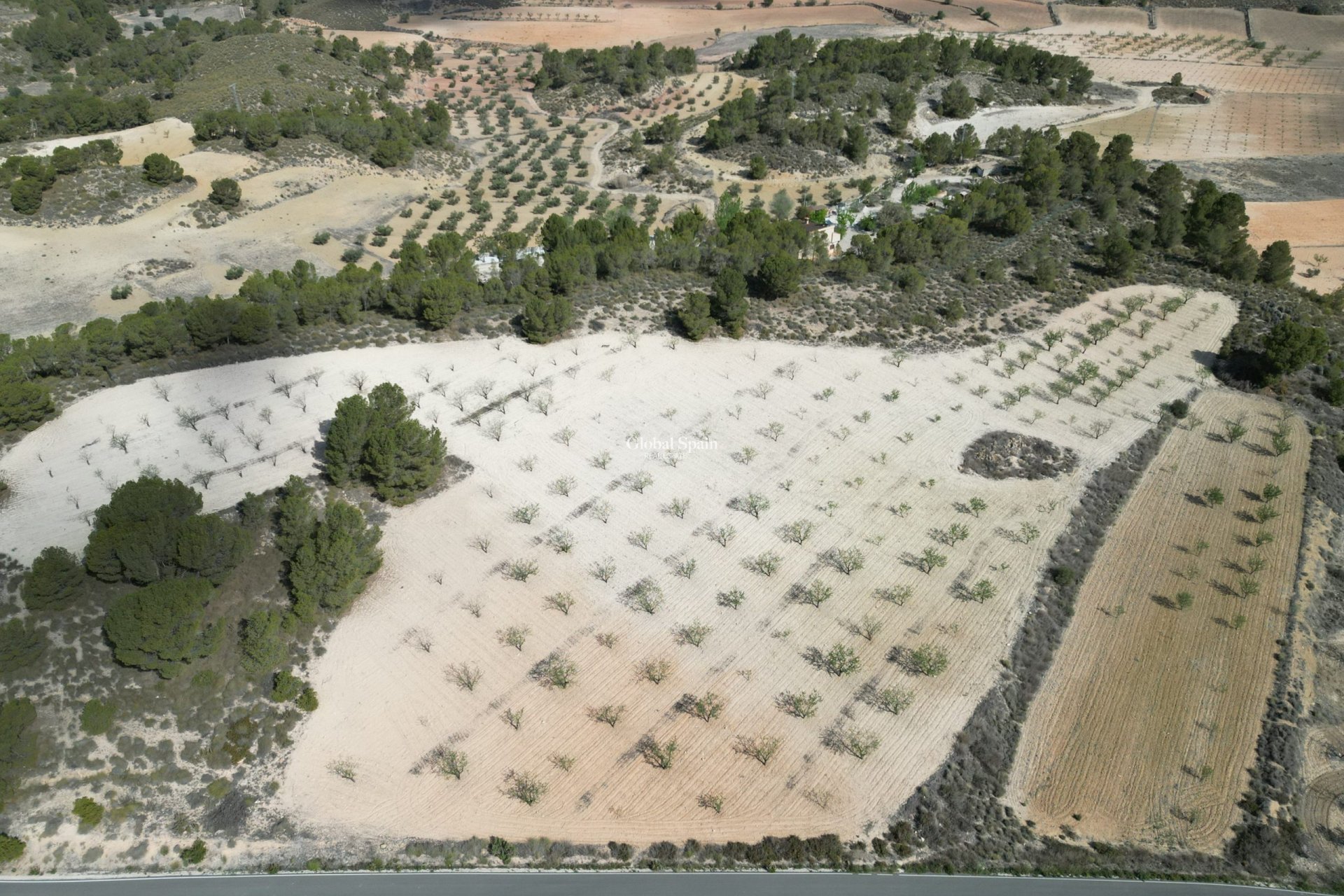 Revente - Sol -
La Zarza