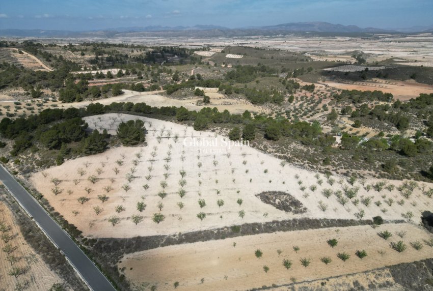 Revente - Sol -
La Zarza