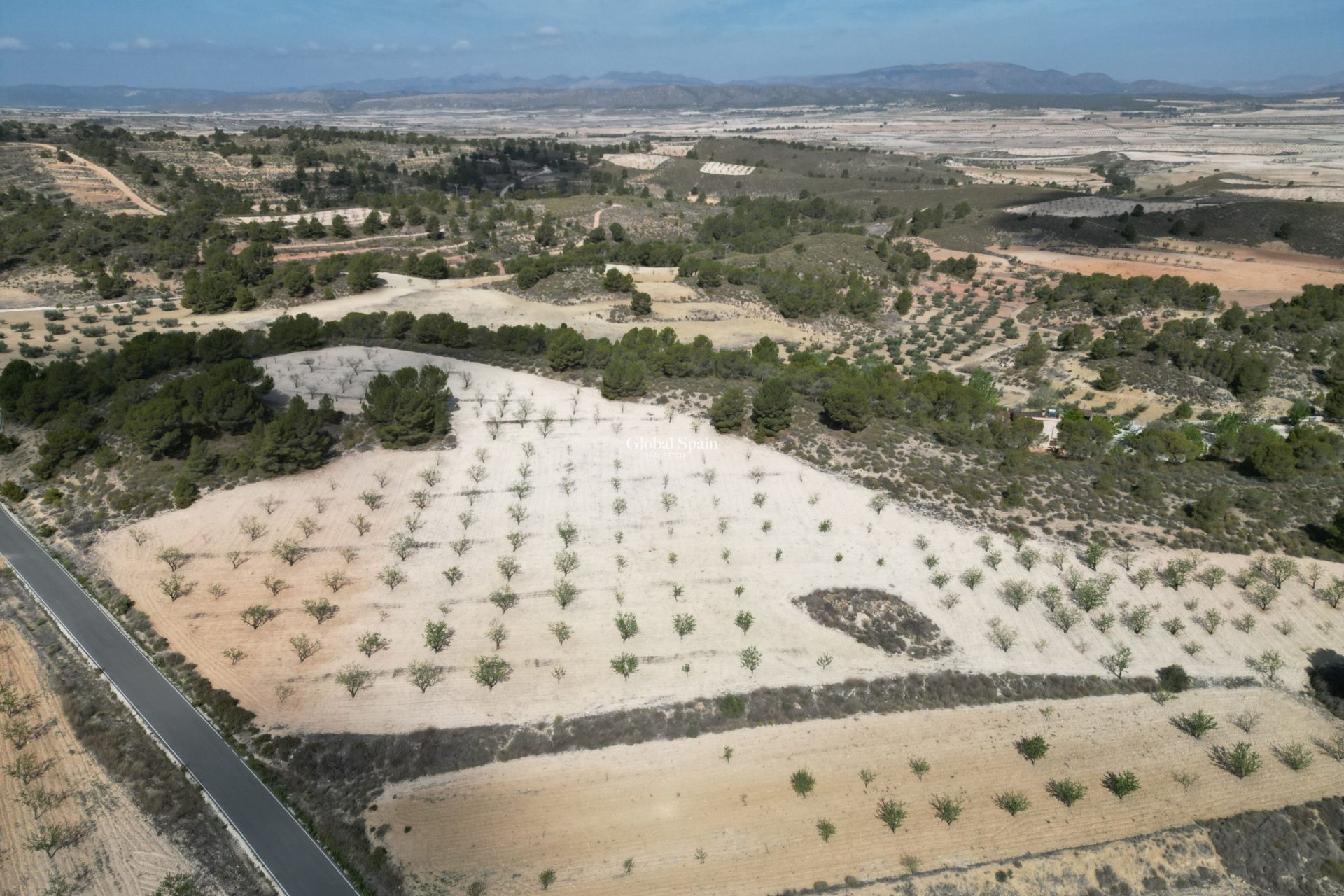 Revente - Sol -
La Zarza