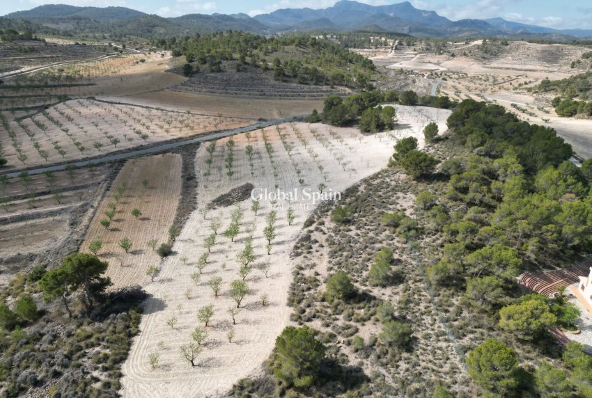 Revente - Sol -
La Zarza