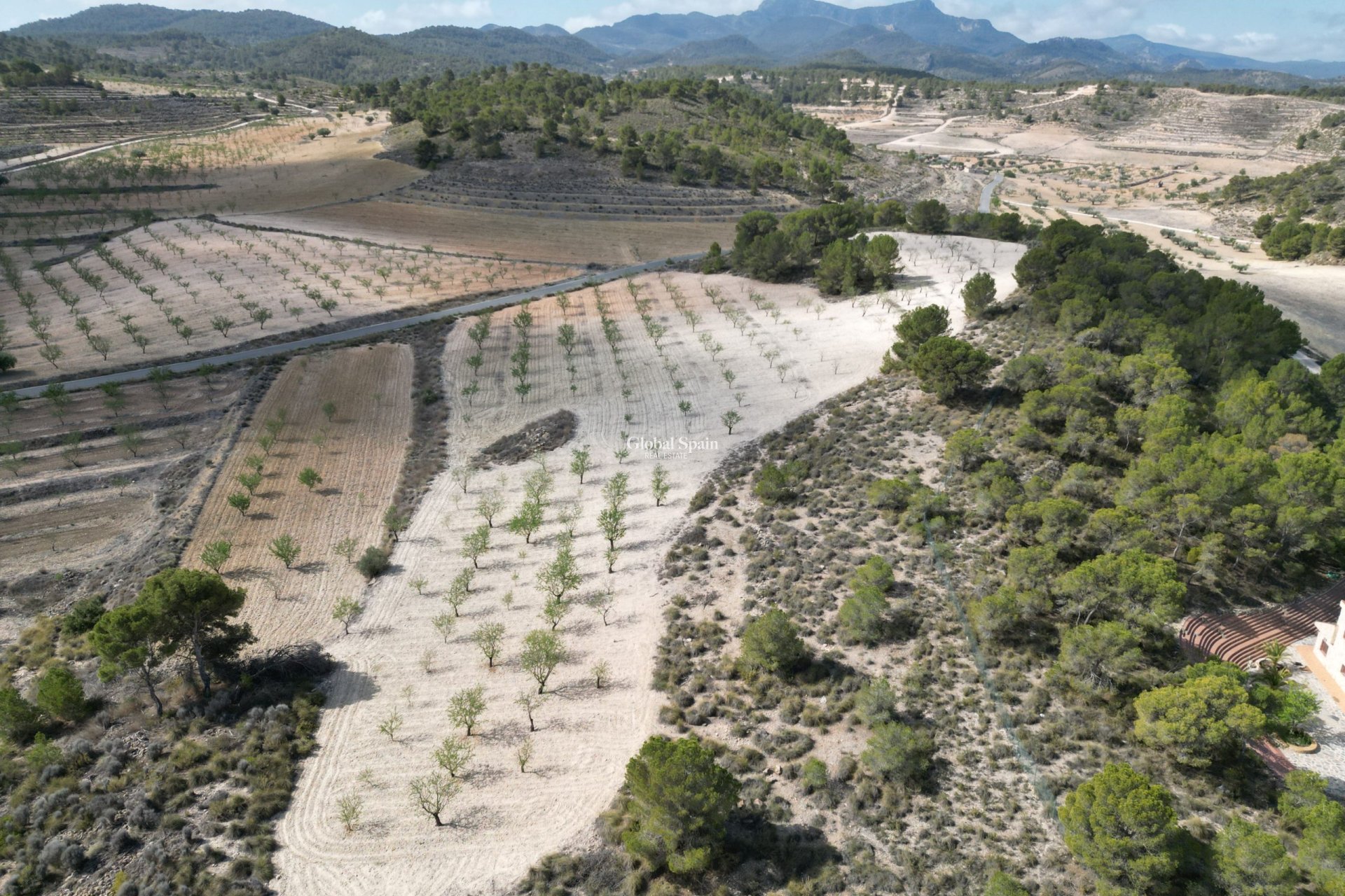 Revente - Sol -
La Zarza