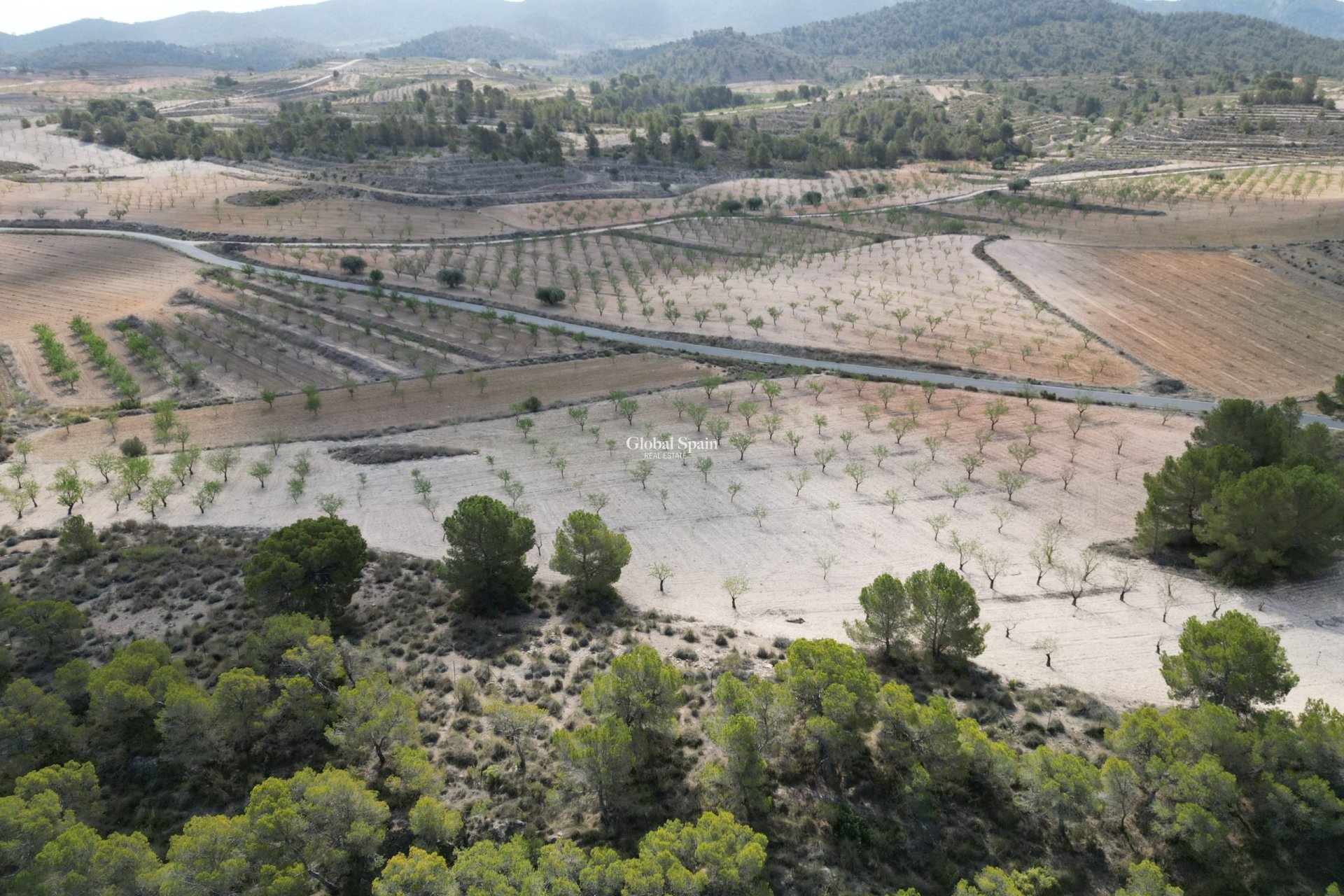 Revente - Sol -
La Zarza