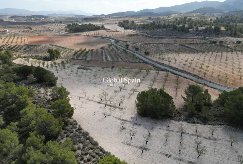 Revente - Sol -
La Zarza