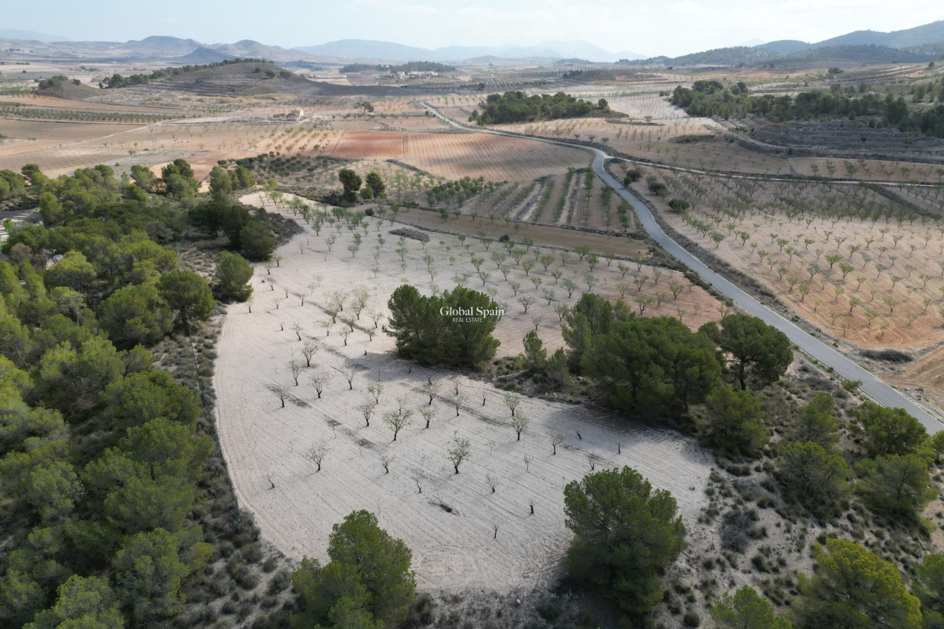 Revente - Sol -
La Zarza