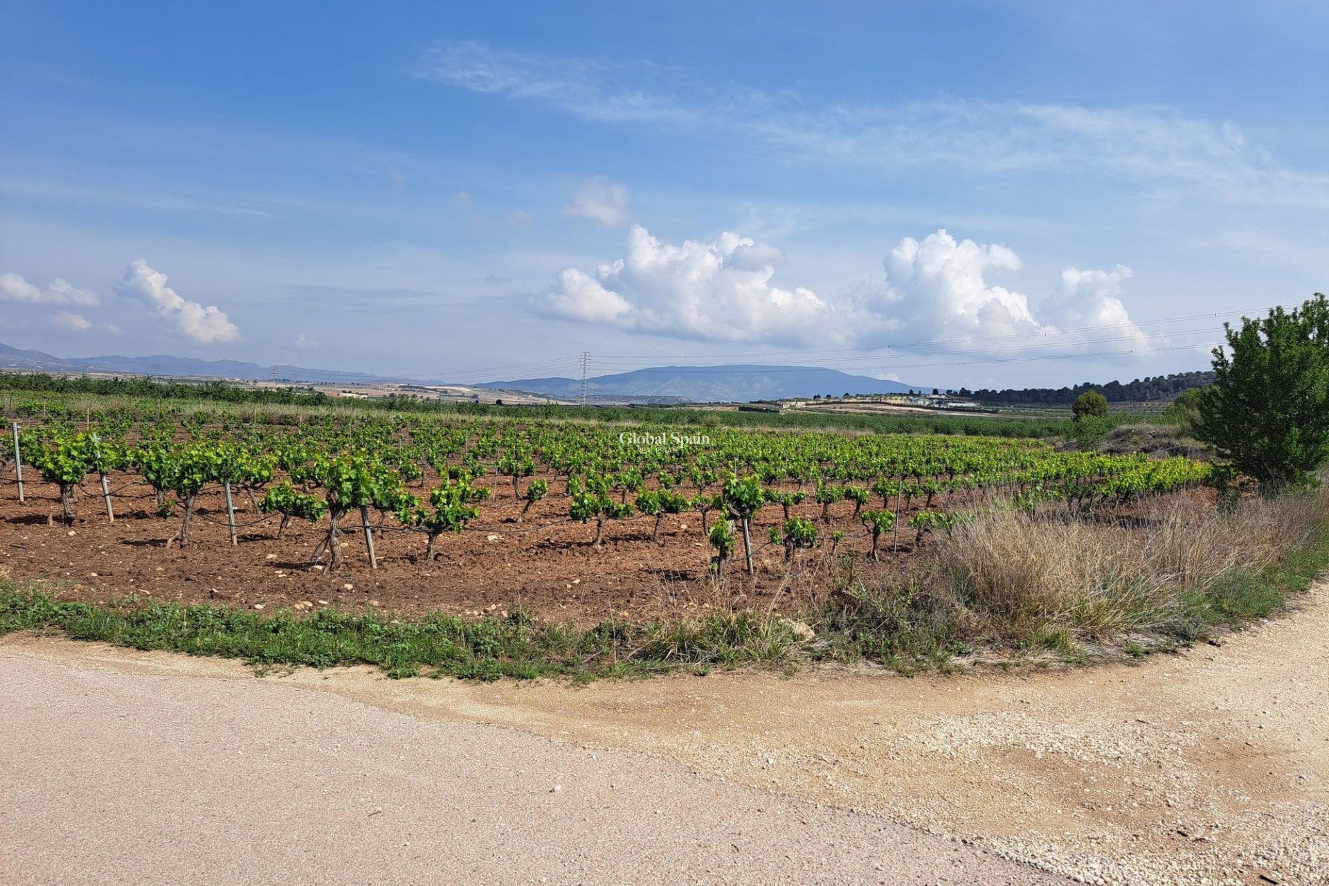 Revente - Sol -
Pinoso