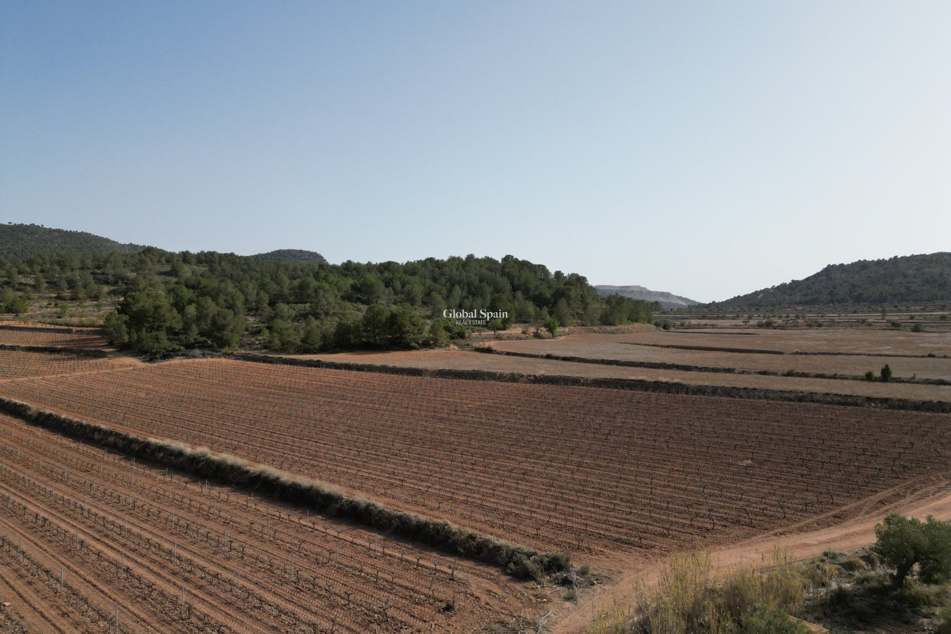 Revente - Sol -
Pinoso