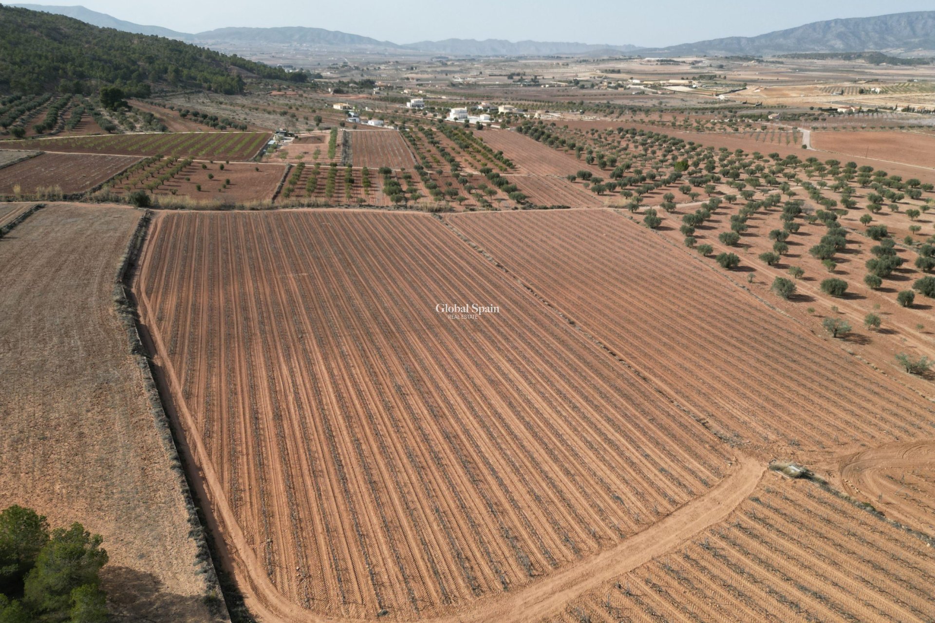 Revente - Sol -
Pinoso