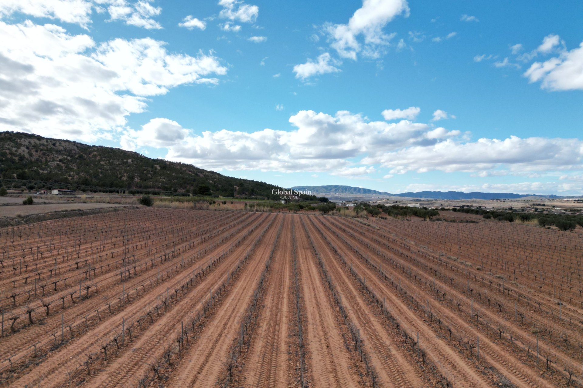 Revente - Sol -
Pinoso