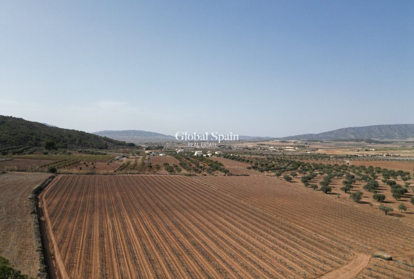 Revente - Sol -
Pinoso