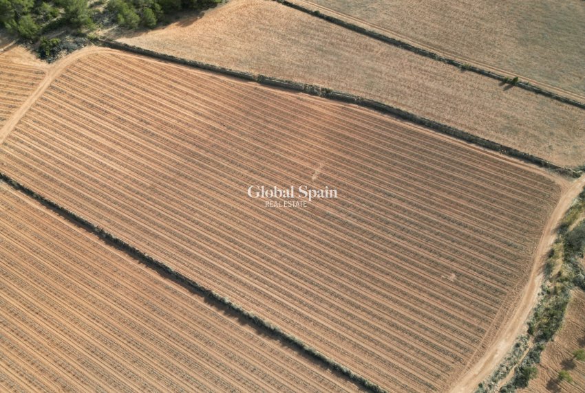 Revente - Sol -
Pinoso