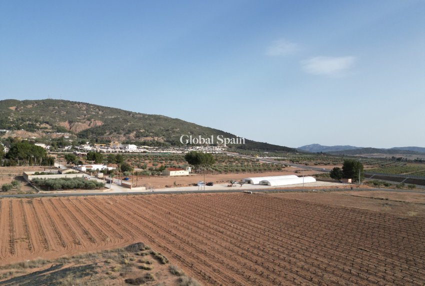 Revente - Sol -
Pinoso