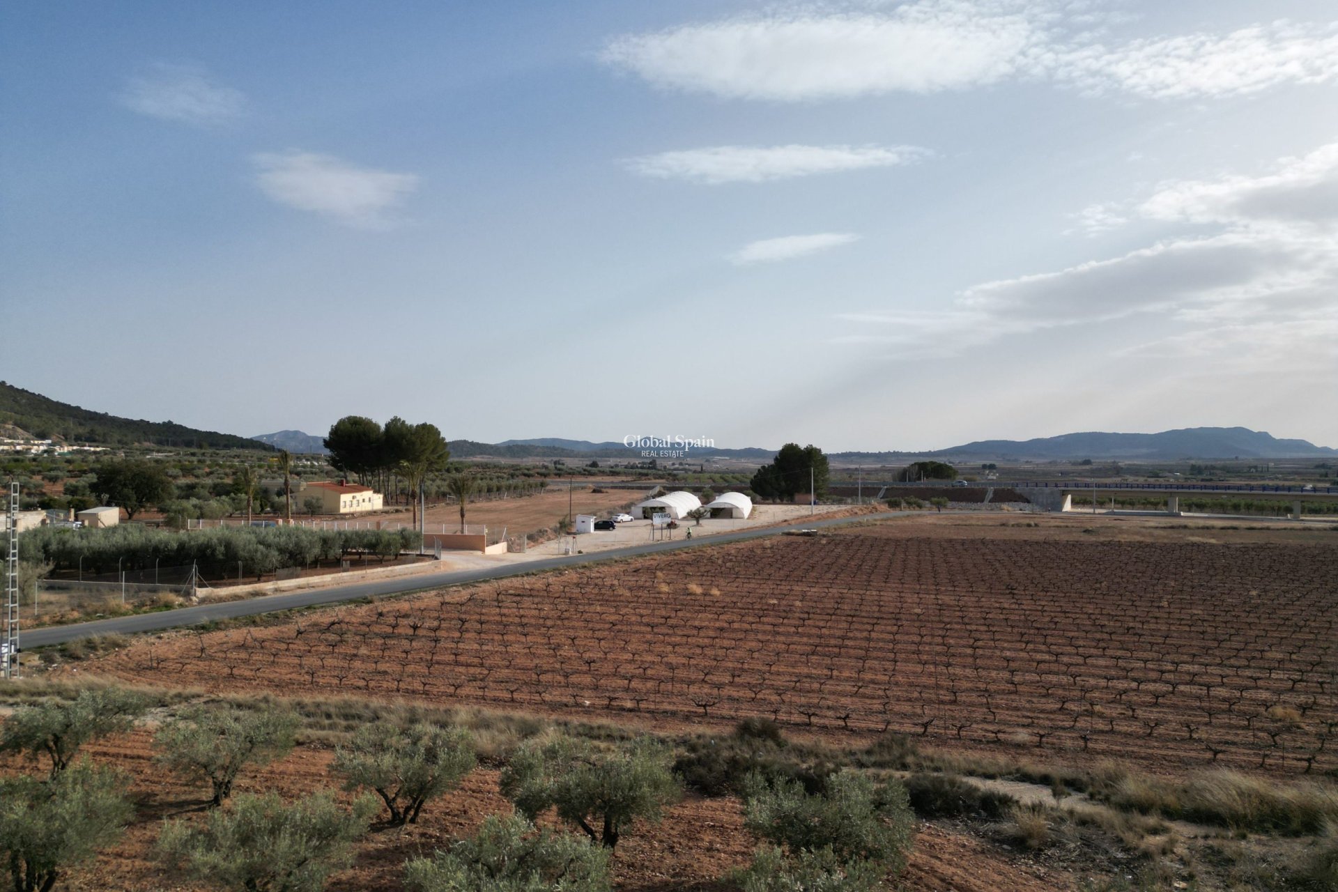 Revente - Sol -
Pinoso