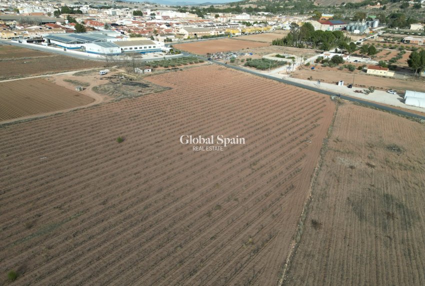 Revente - Sol -
Pinoso