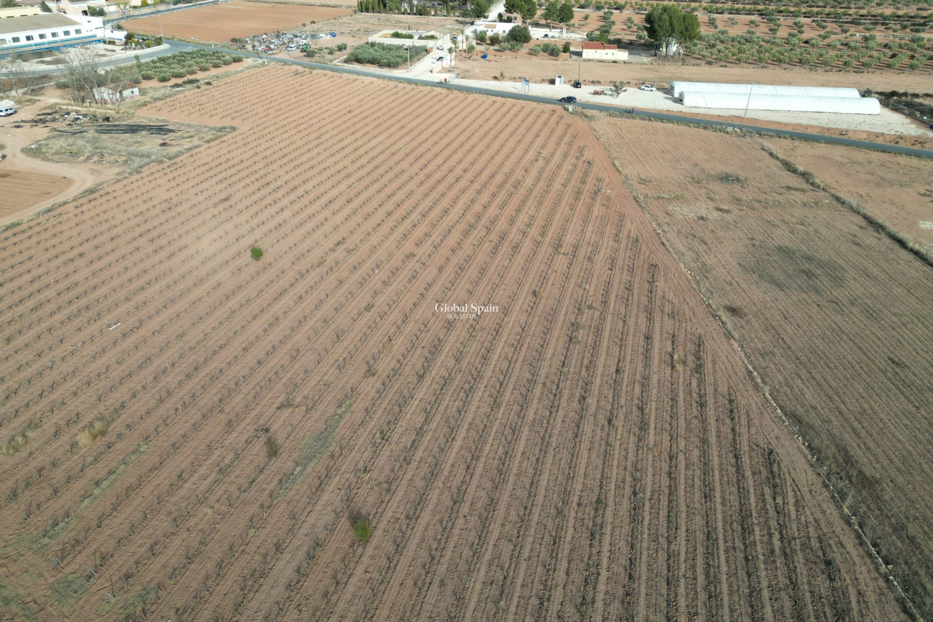 Revente - Sol -
Pinoso