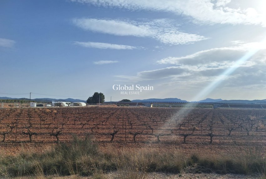 Revente - Sol -
Pinoso