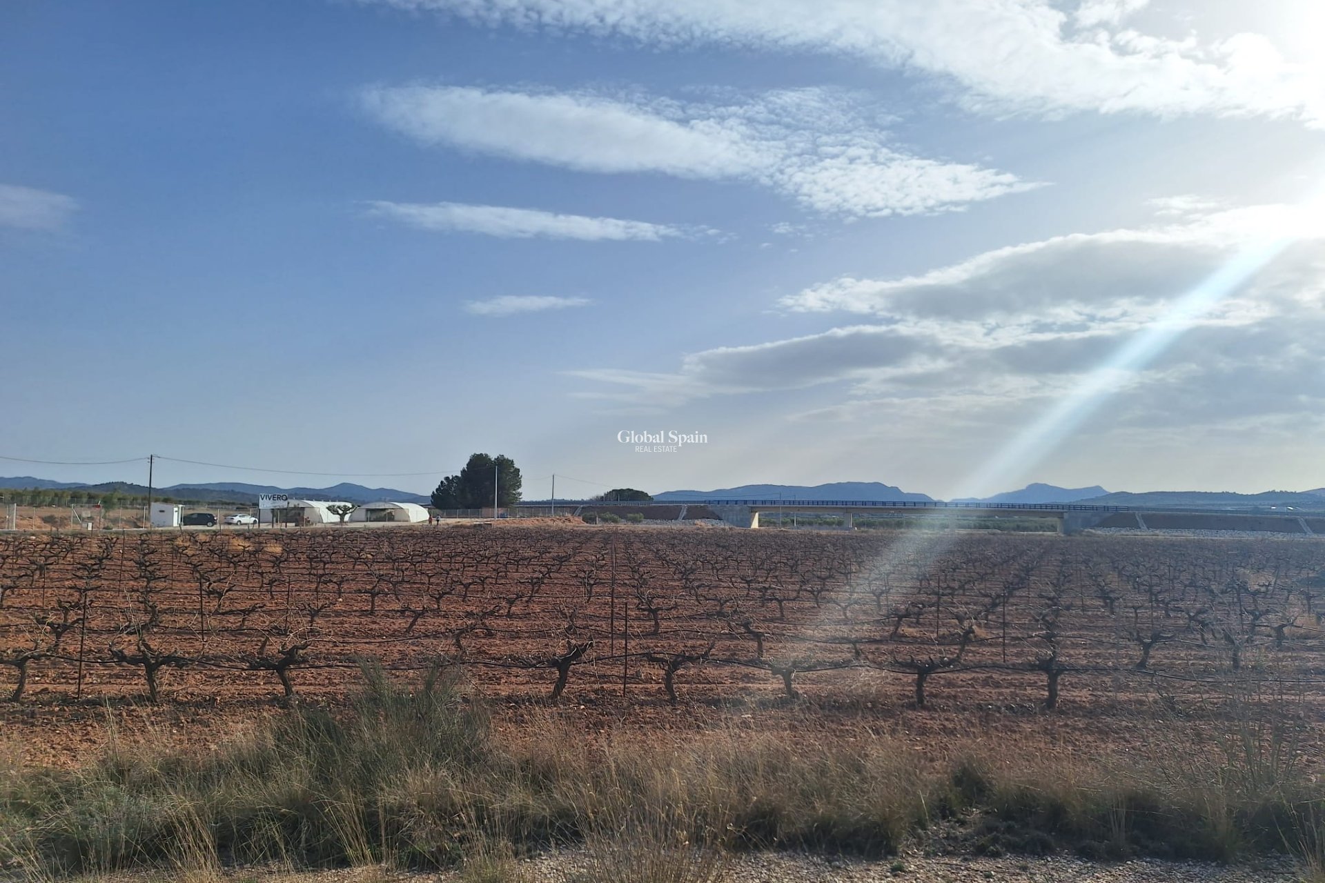 Revente - Sol -
Pinoso