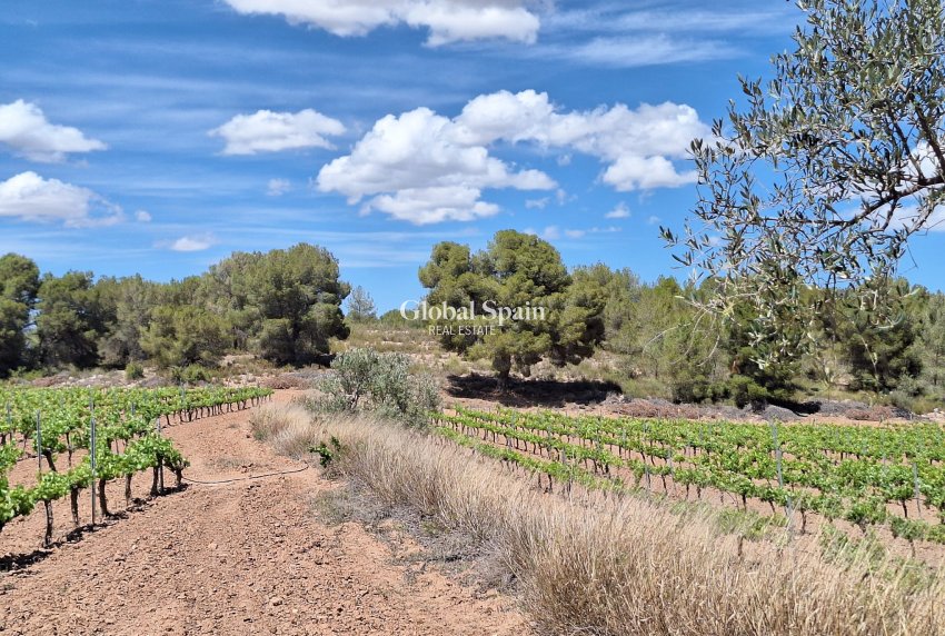 Revente - Sol -
Pinoso