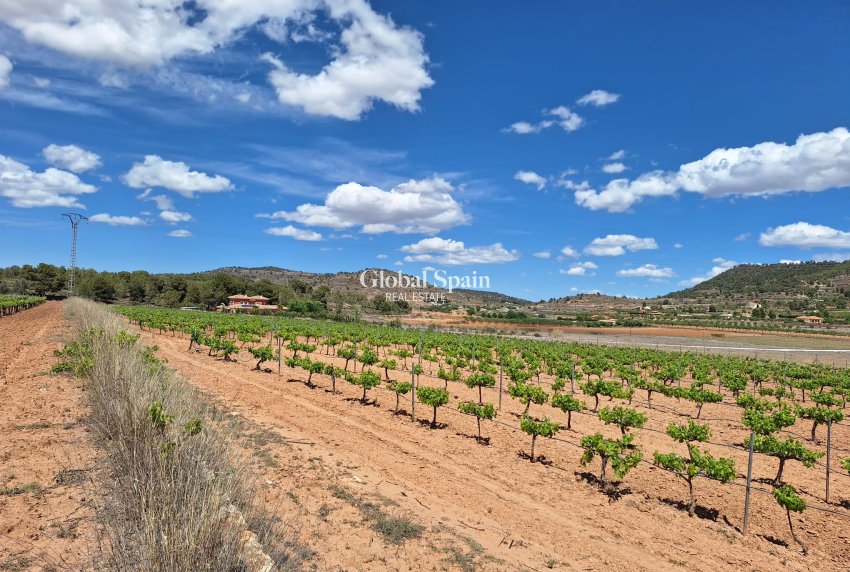 Revente - Sol -
Pinoso