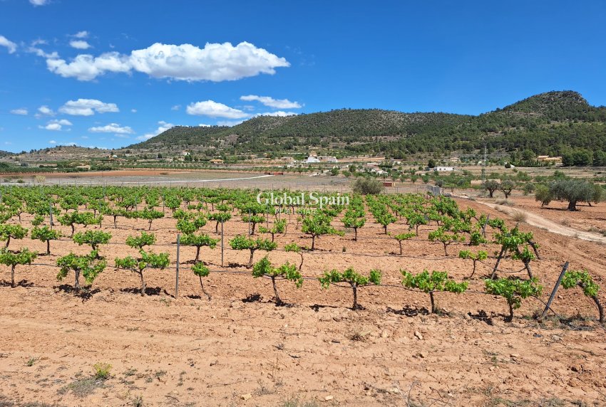 Revente - Sol -
Pinoso