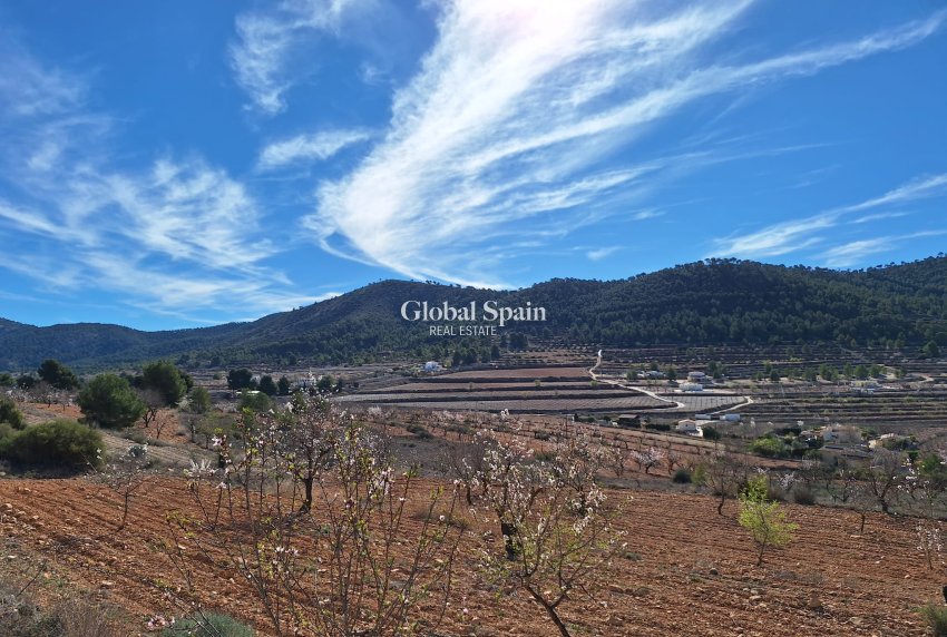 Revente - Sol -
Pinoso