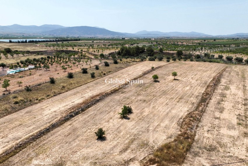 Revente - Sol -
Pinoso