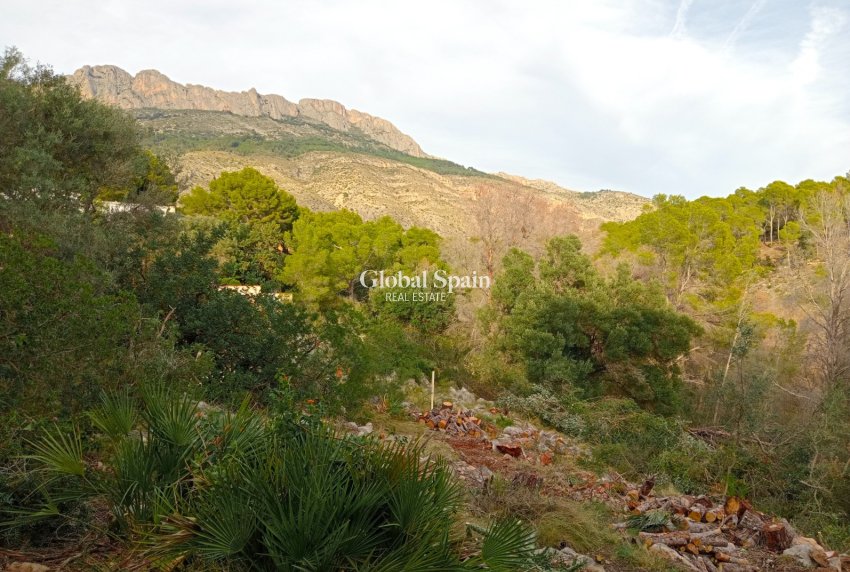 Revente - Terrain / Terrain -
ALTEA