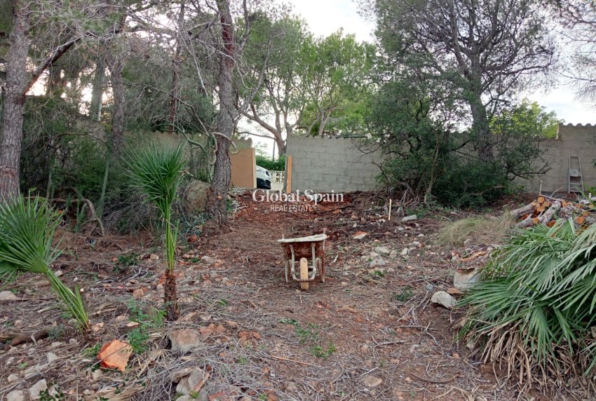 Revente - Terrain / Terrain -
ALTEA