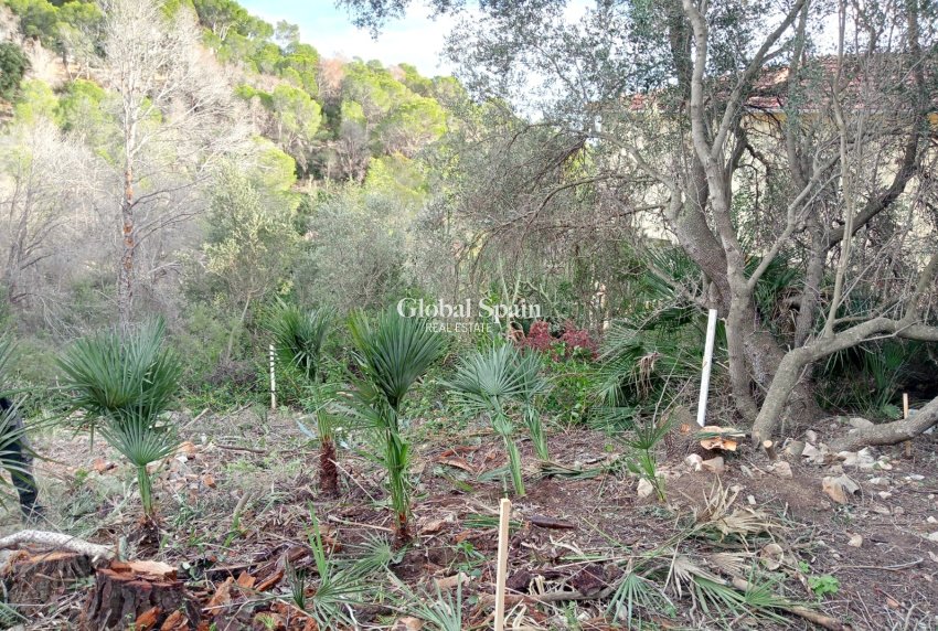 Revente - Terrain / Terrain -
ALTEA