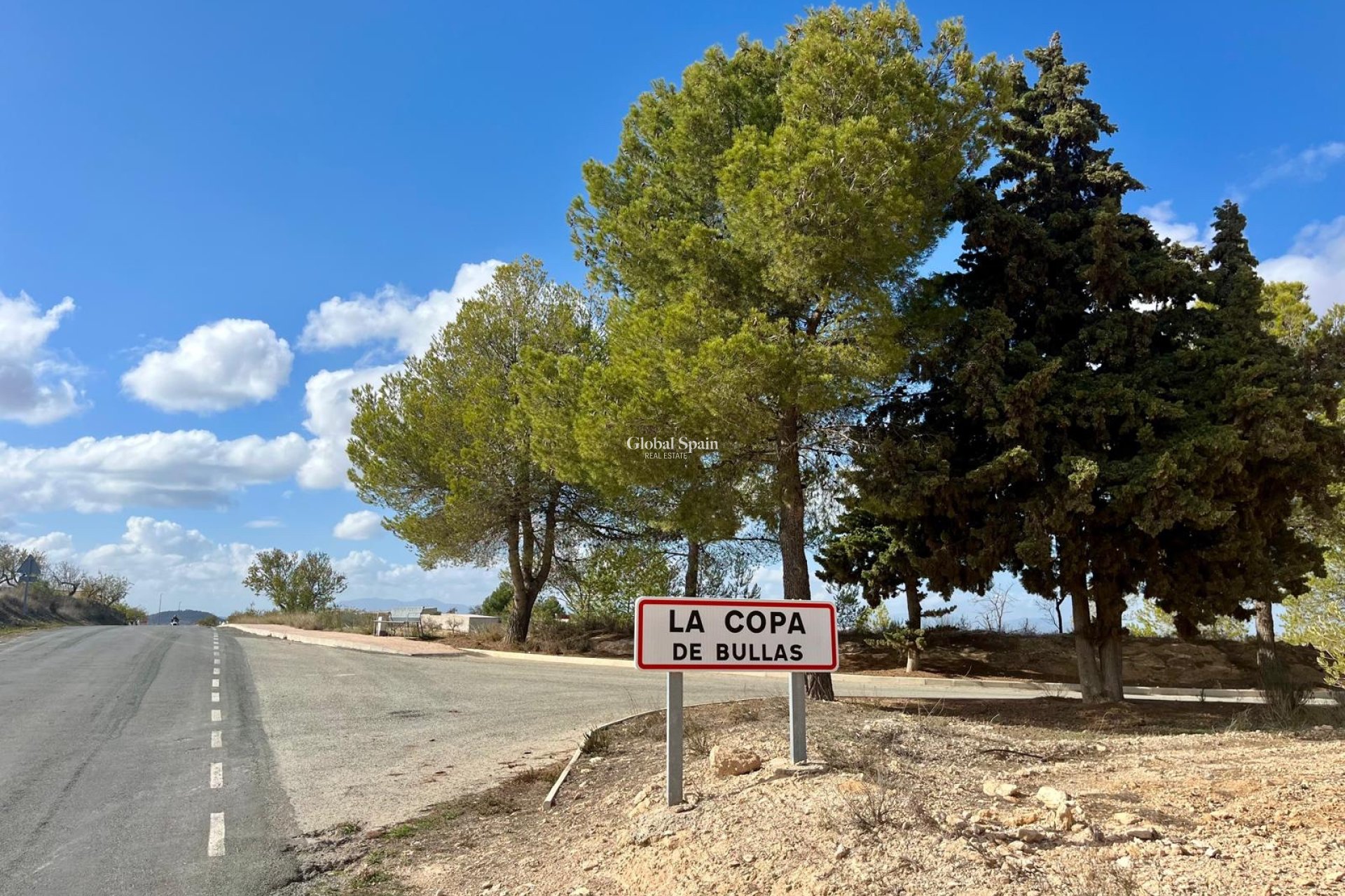 Revente - Terrain / Terrain -
Bullas - Costa Calida