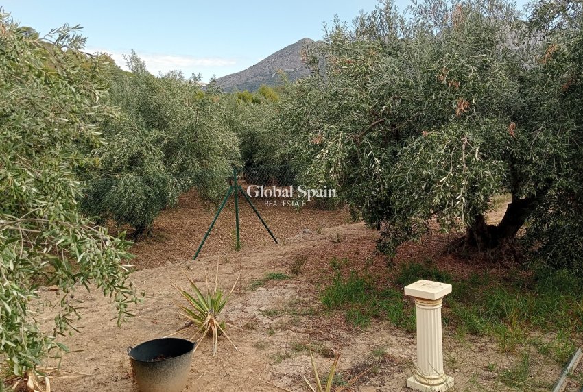 Revente - Terrain / Terrain -
La Nucía - La nucia