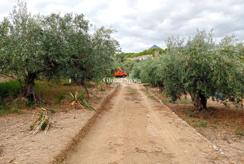 Revente - Terrain / Terrain -
La Nucía - La nucia