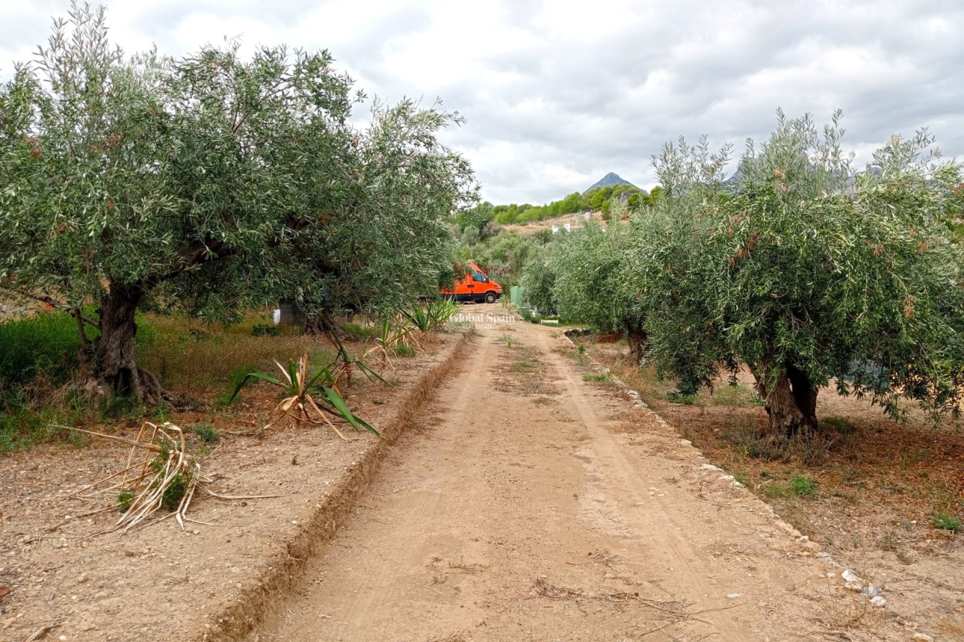 Revente - Terrain / Terrain -
La Nucía - La nucia