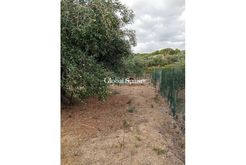 Revente - Terrain / Terrain -
La Nucía - La nucia