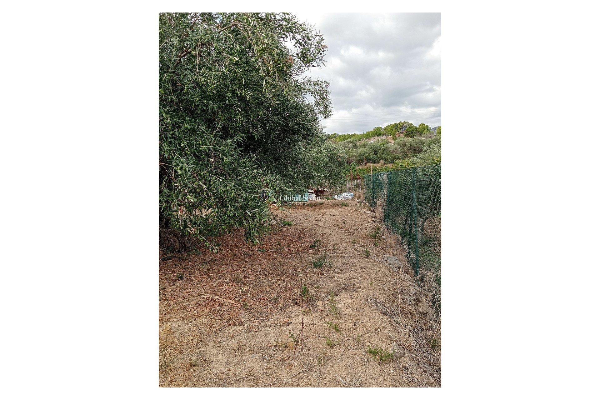 Revente - Terrain / Terrain -
La Nucía - La nucia