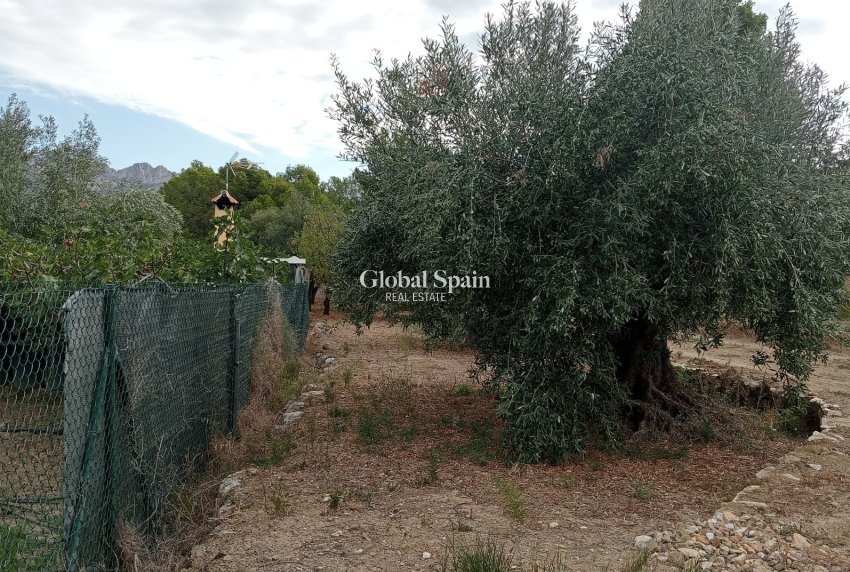 Revente - Terrain / Terrain -
La Nucía - La nucia