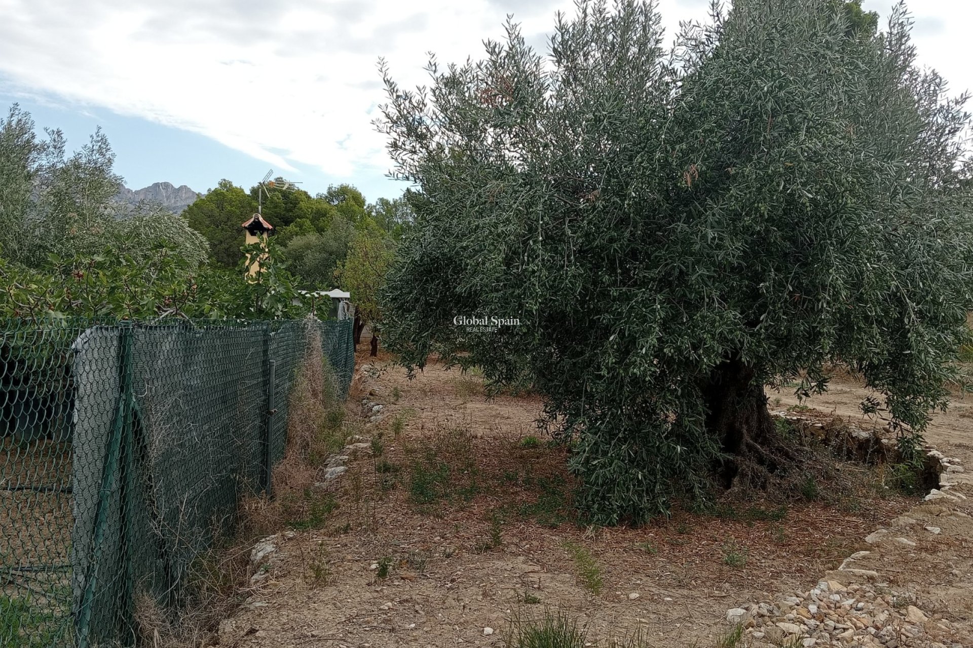 Revente - Terrain / Terrain -
La Nucía - La nucia