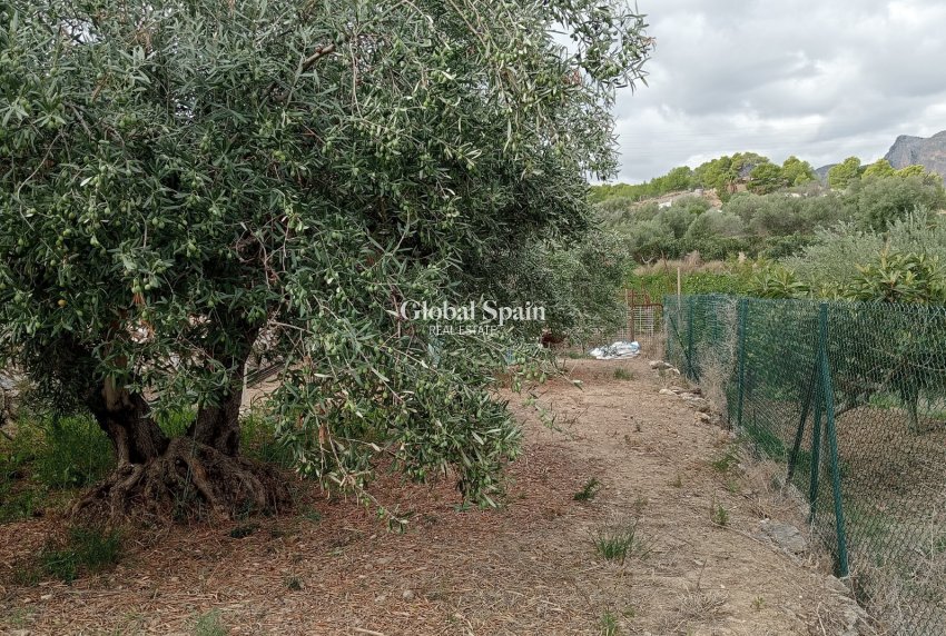 Revente - Terrain / Terrain -
La Nucía - La nucia