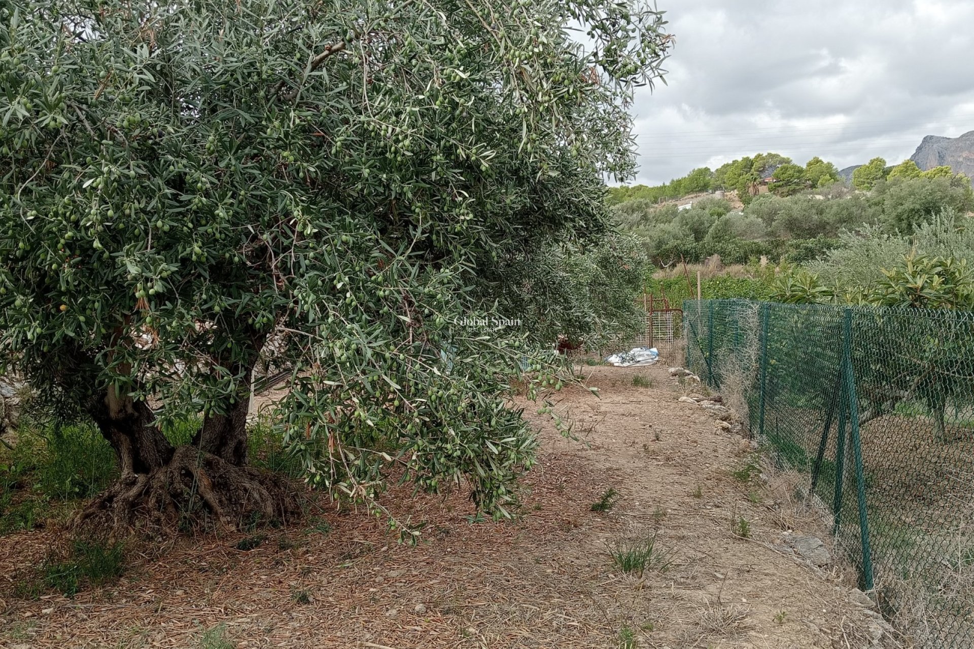 Revente - Terrain / Terrain -
La Nucía - La nucia