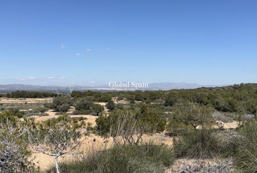 Revente - Terrains et parcelles -
SAN FULGENCIO - LA MARINA