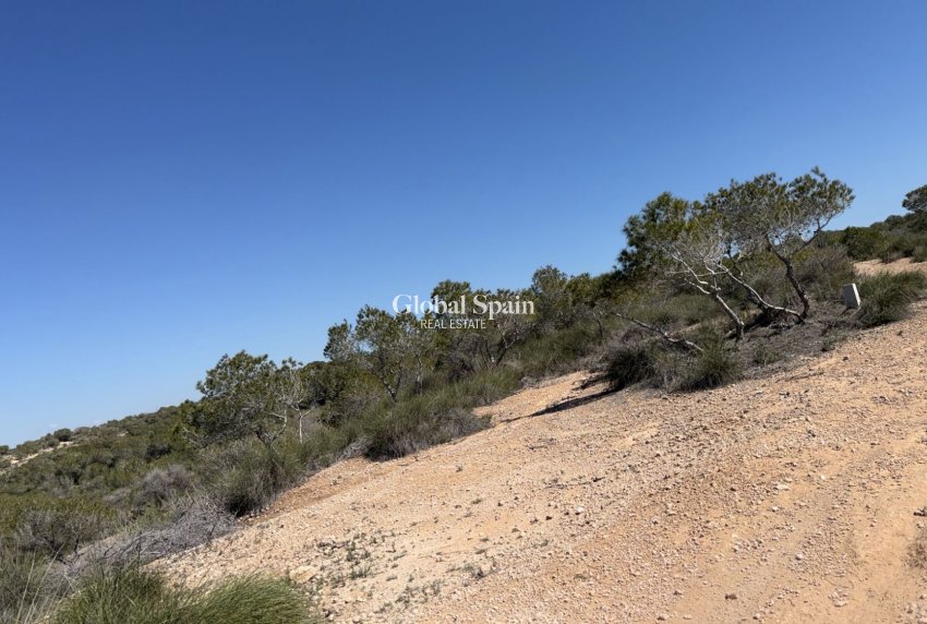 Revente - Terrains et parcelles -
SAN FULGENCIO - LA MARINA