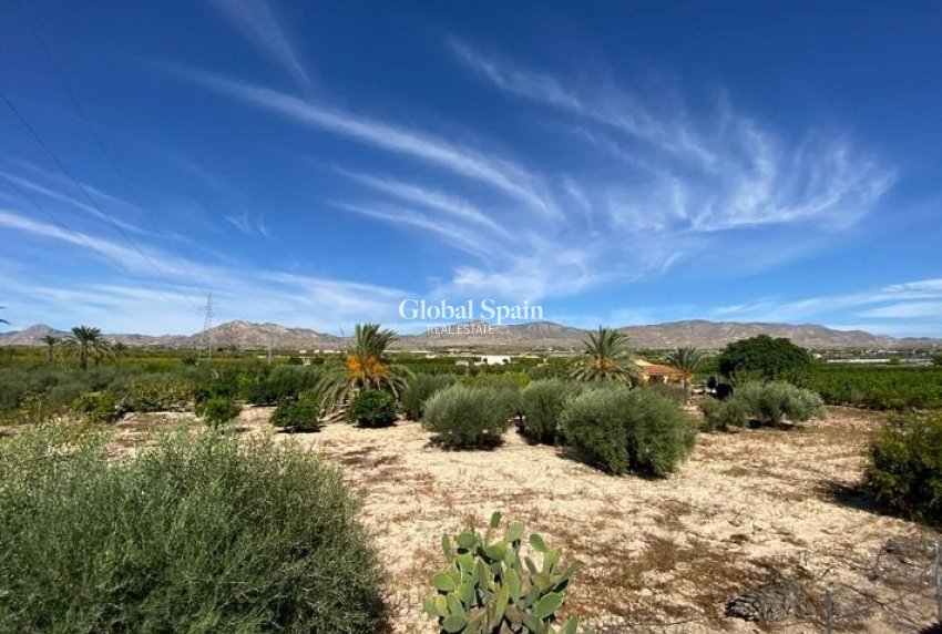 Revente - VILLA -
ALBATERA - Campo De Albatera