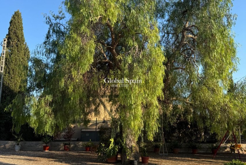 Revente - VILLA -
ALBATERA - Partida Lomas