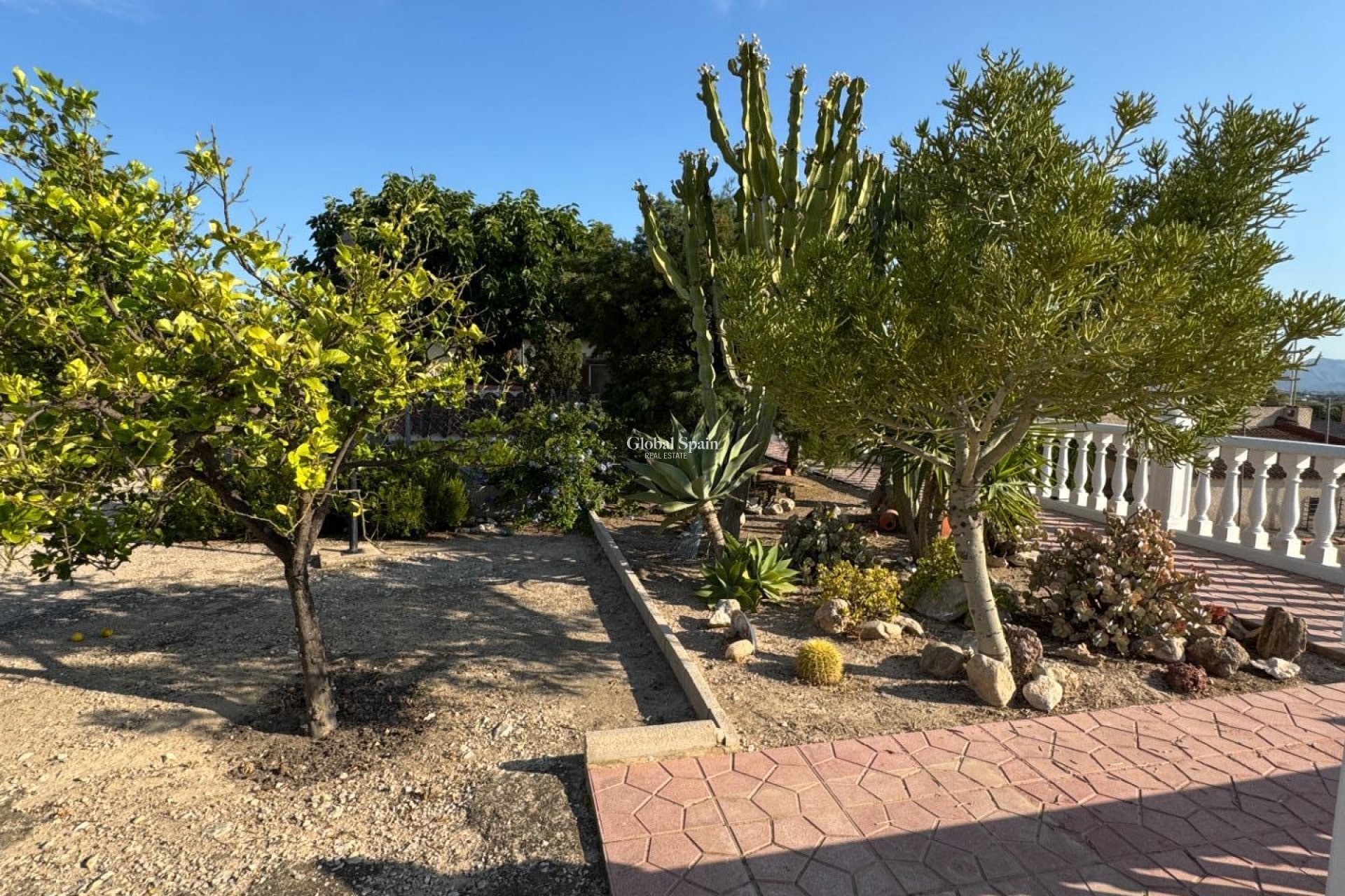 Revente - VILLA -
ALBATERA - Partida Lomas