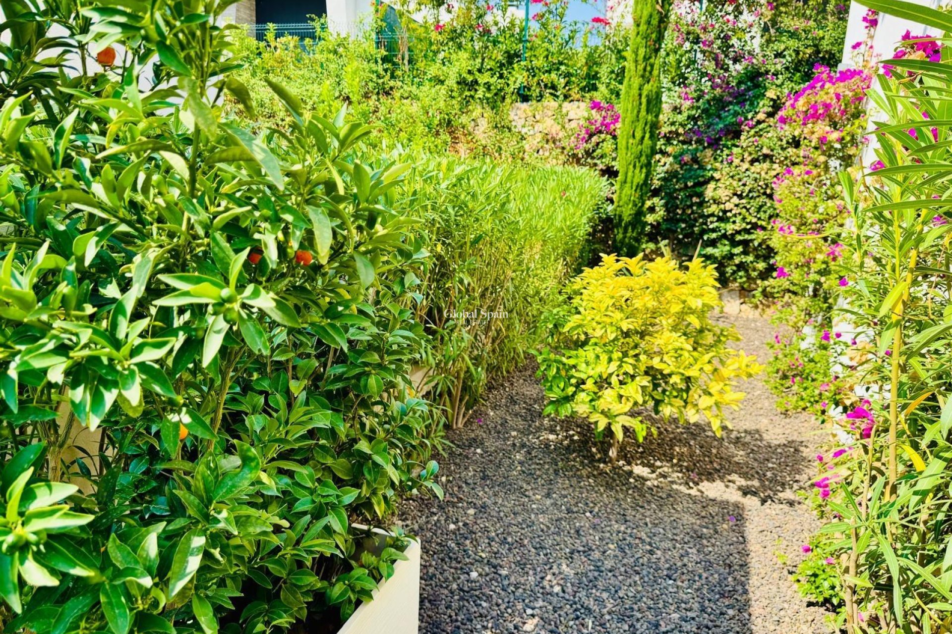 Revente - VILLA -
ALGORFA - Club De Golf La Finca